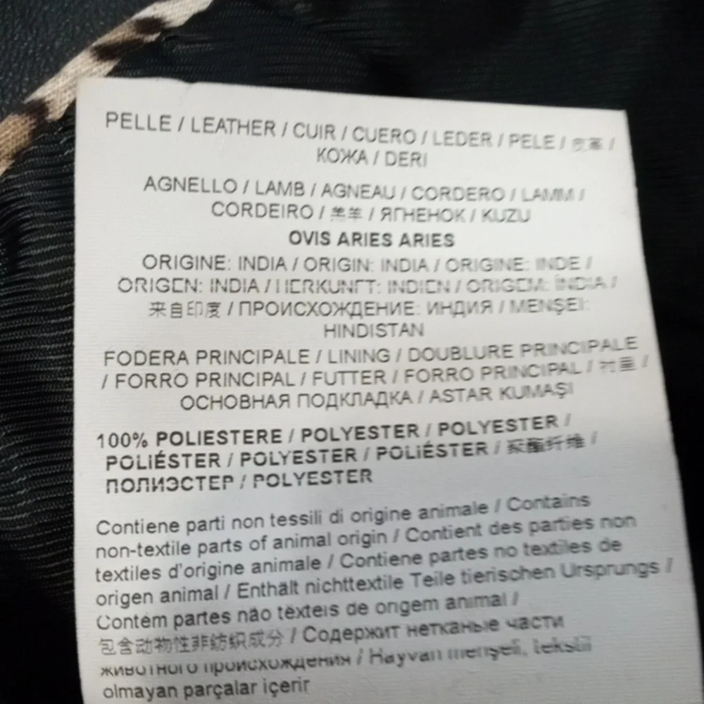 Cavalli Class Leather Jacket - Picture 12 of 13